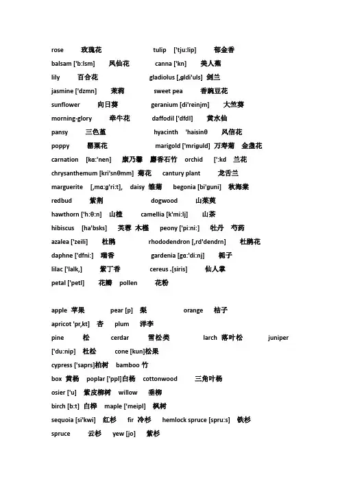 常用花、树的英文单词