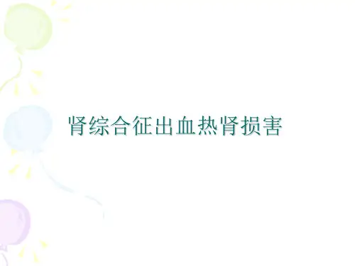 肾综合征出血热肾损害PPT课件