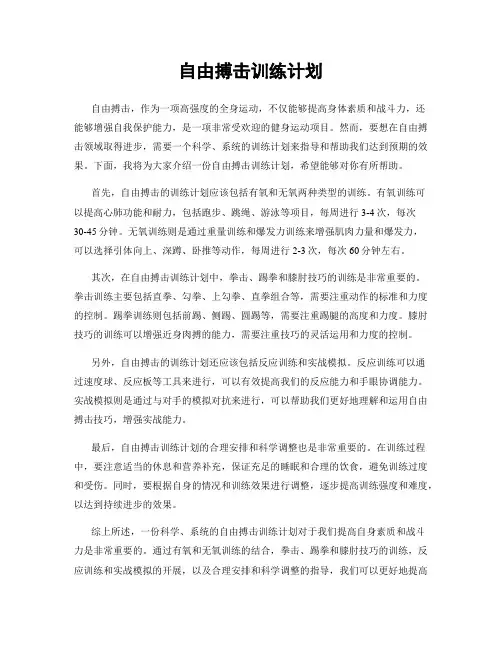 自由搏击训练计划