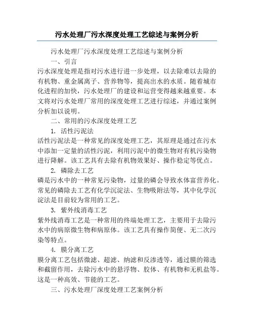 污水处理厂污水深度处理工艺综述与案例分析