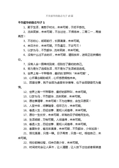 不负韶华的励志句子15篇