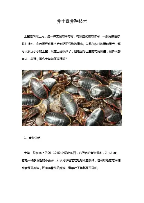 养土鳖养殖技术