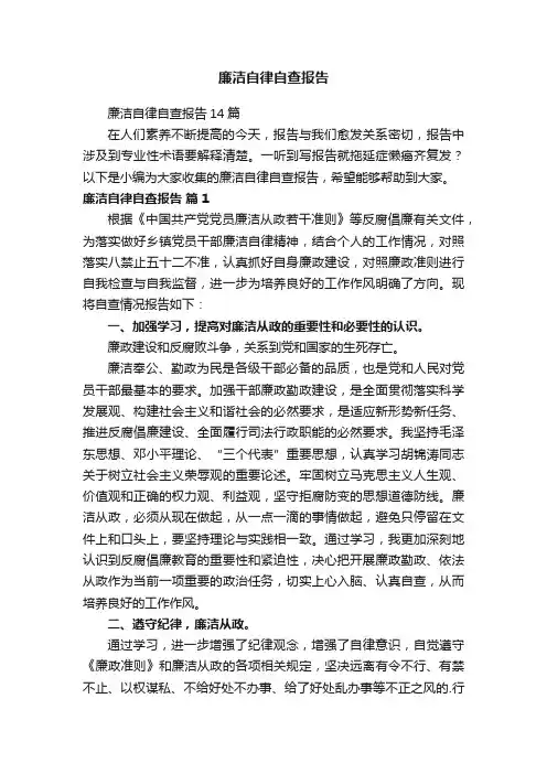 廉洁自律自查报告