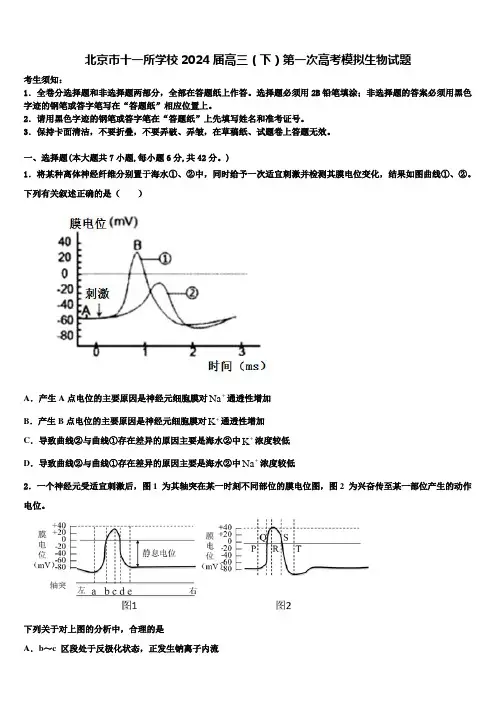 北京市十一所学校2024届高三(下)第一次高考模拟生物试题含解析