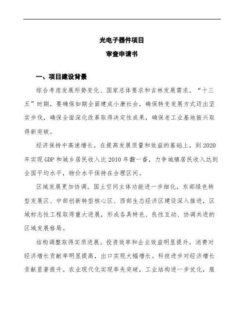 光电子器件项目审查申请书模板