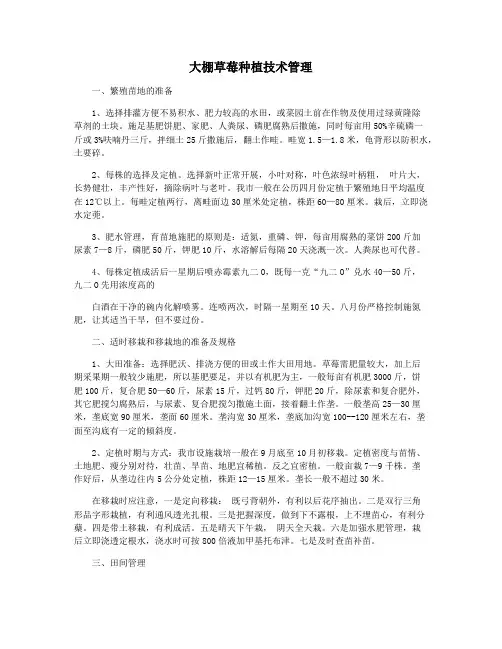 大棚草莓种植技术管理