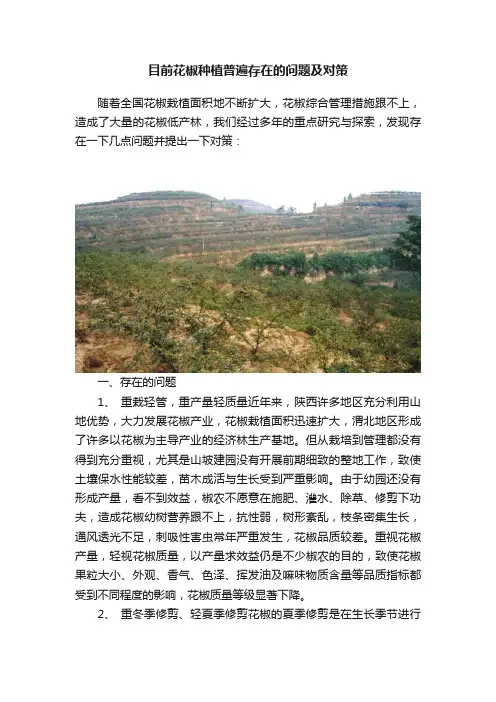 目前花椒种植普遍存在的问题及对策