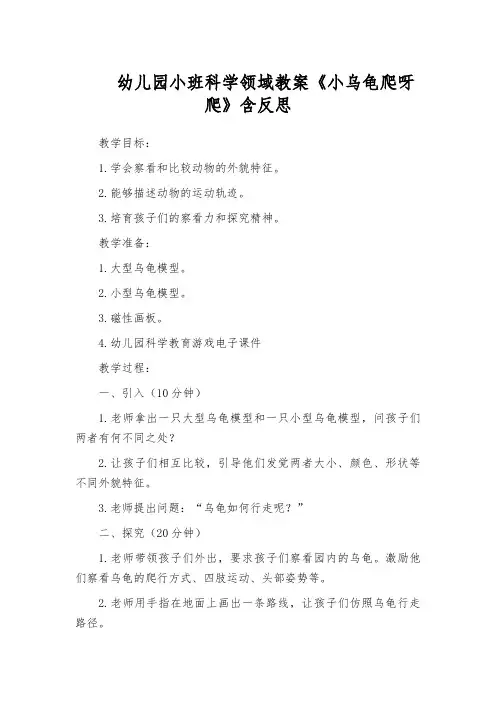 幼儿园小班科学领域教案《小乌龟爬呀爬》含反思