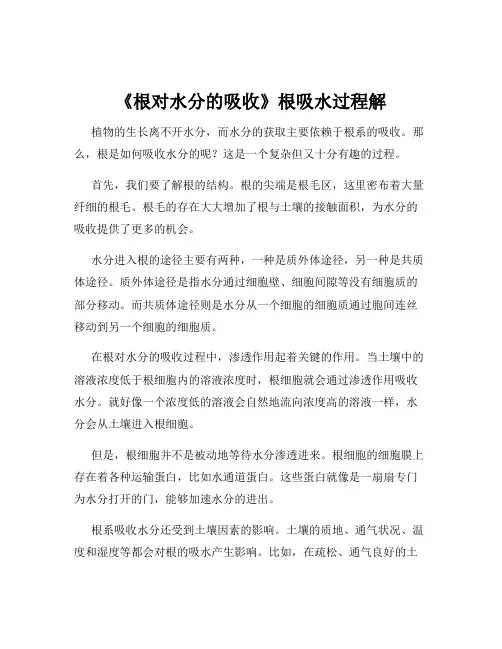 《根对水分的吸收》根吸水过程解