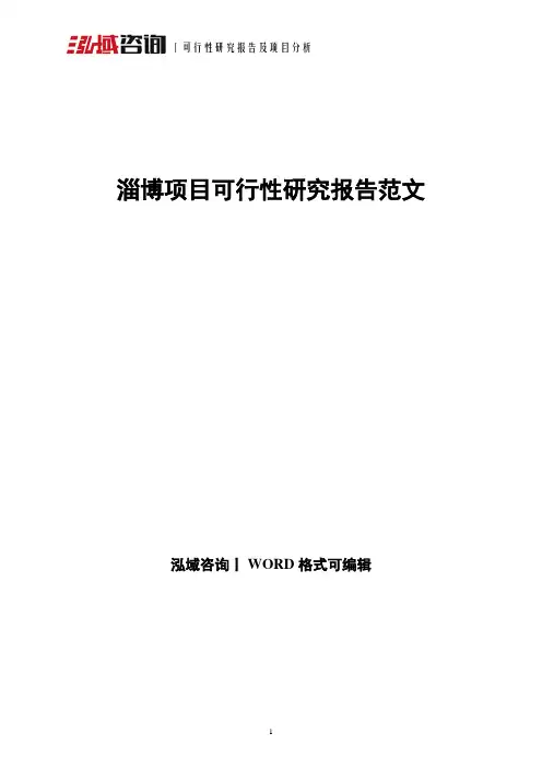 淄博项目可行性研究报告范文