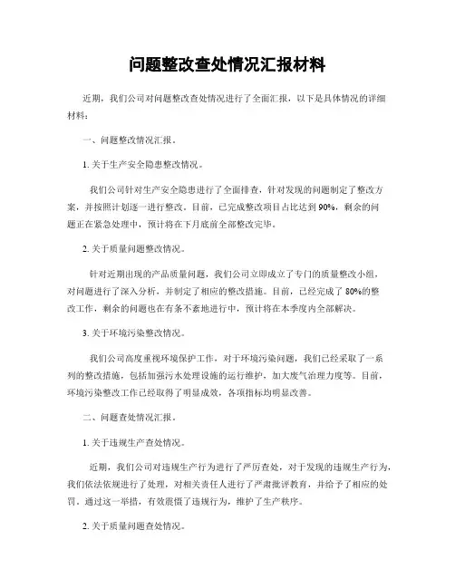 问题整改查处情况汇报材料