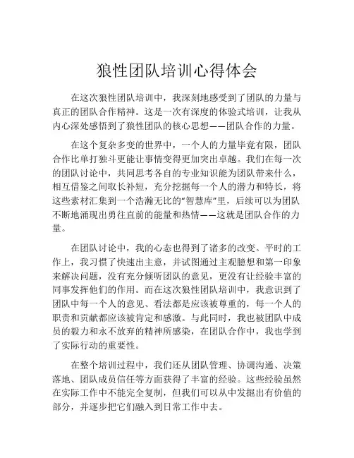 狼性团队培训心得体会