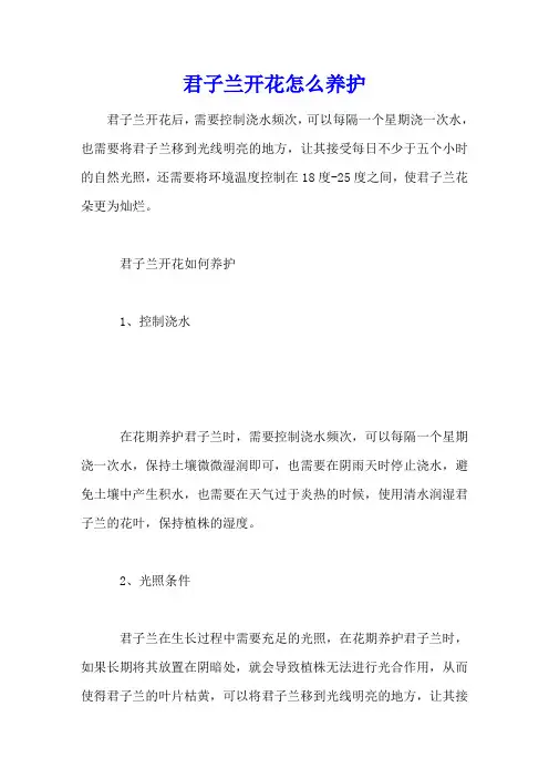 君子兰开花怎么养护