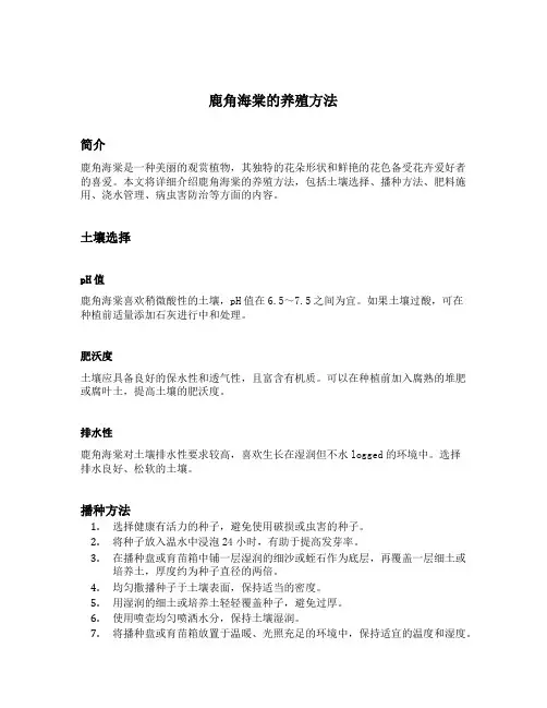 鹿角海棠的养殖方法