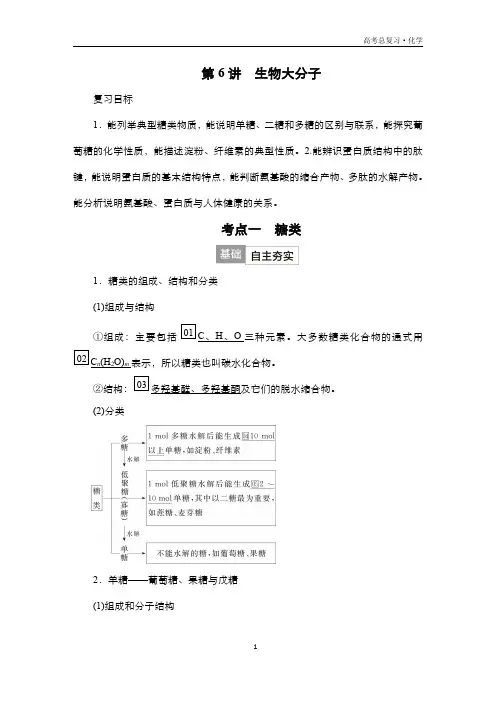 2024届高考化学一轮复习教案(人教版)第十一单元 有机化学 第6讲