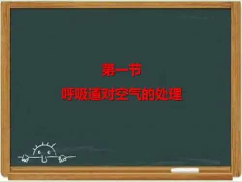 鲁科版七年级生物上册《呼吸道对空气的处理》课件