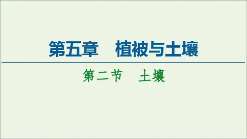 新教材高中地理第5章植被与土壤第2节土壤课件新人教版必修第一册