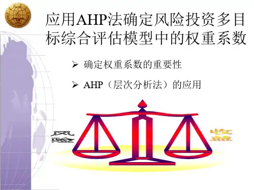 风险投资项目评估AHP法(1).pptx