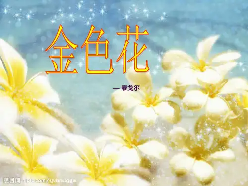 《金色花》以及《荷叶母亲》比较ppt课件