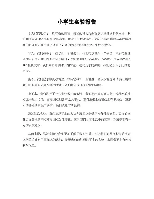 小学生实验报告