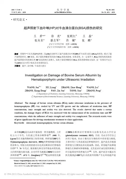 超声照射下血卟啉_HP_对牛血清白蛋白_BSA_损伤的研究