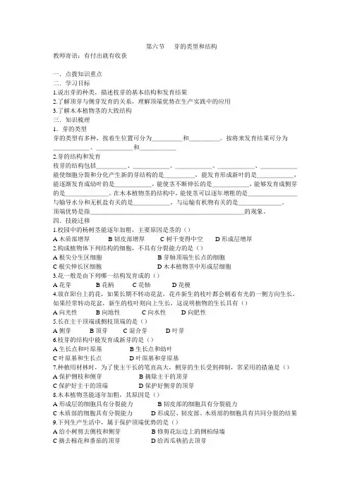 芽的类型和结构