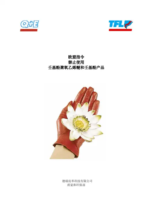 kk欧盟指令 禁止使用 壬基酚聚氧乙烯醚和壬基酚产品