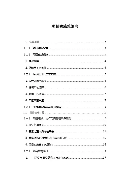 项目实施策划书