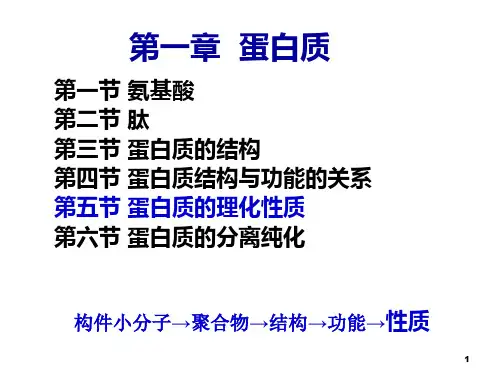 蛋白质ppt课件