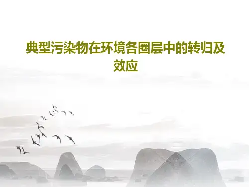 典型污染物在环境各圈层中的转归及效应50页PPT