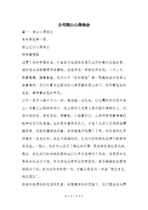 公司爬山心得体会.doc