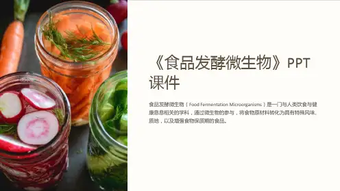 《食品发酵微生物》课件