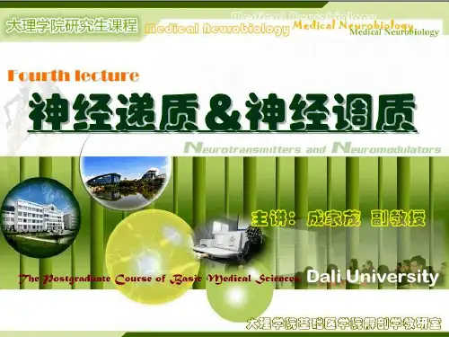 神经递质和神经调质-研究生