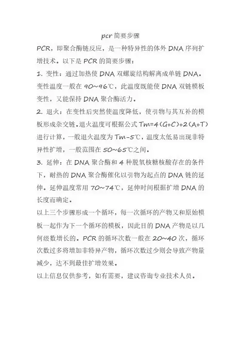 pcr简要步骤