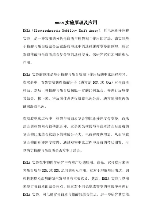 emsa实验原理及应用
