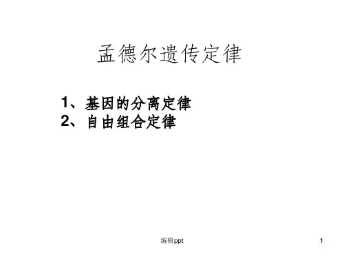 人教版教学课件孟德尔遗传定律共43张