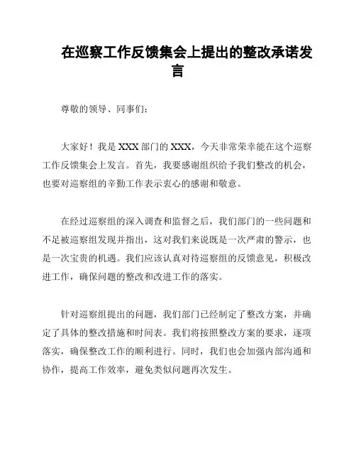在巡察工作反馈集会上提出的整改承诺发言