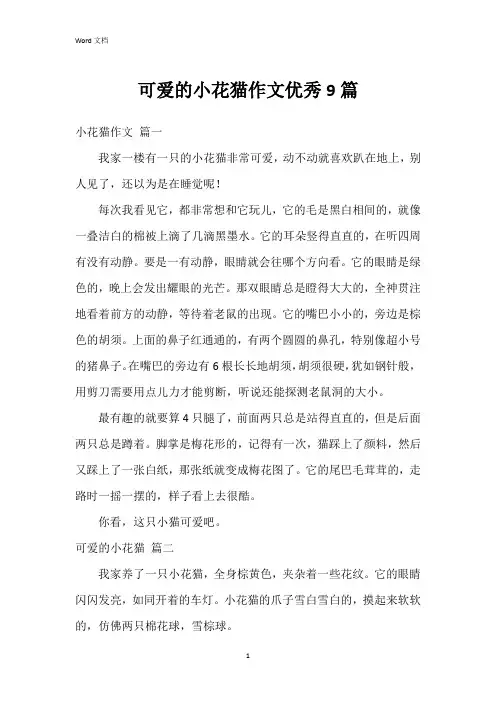 可爱的小花猫作文9篇