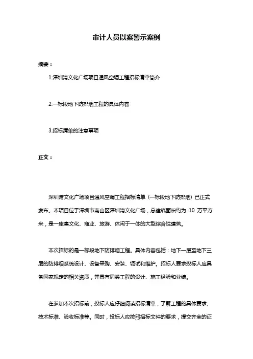 审计人员以案警示案例
