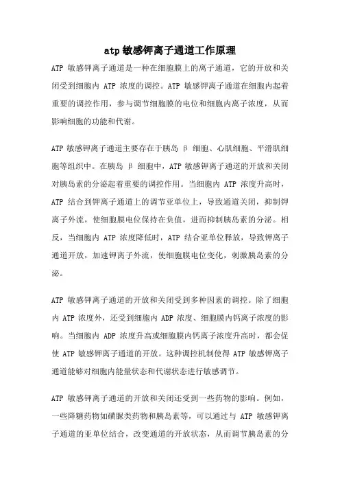 atp敏感钾离子通道工作原理