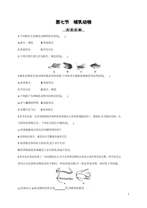 人教版八年级生物上册《5-1-7 哺乳动物》作业同步练习题及参考答案