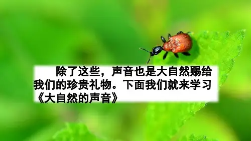 部编版语文三年级上册21 大自然的声音