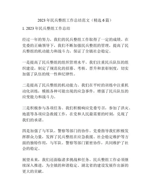2023年民兵整组工作总结范文(精选6篇)