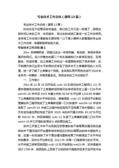 专业技术工作总结（通用13篇）