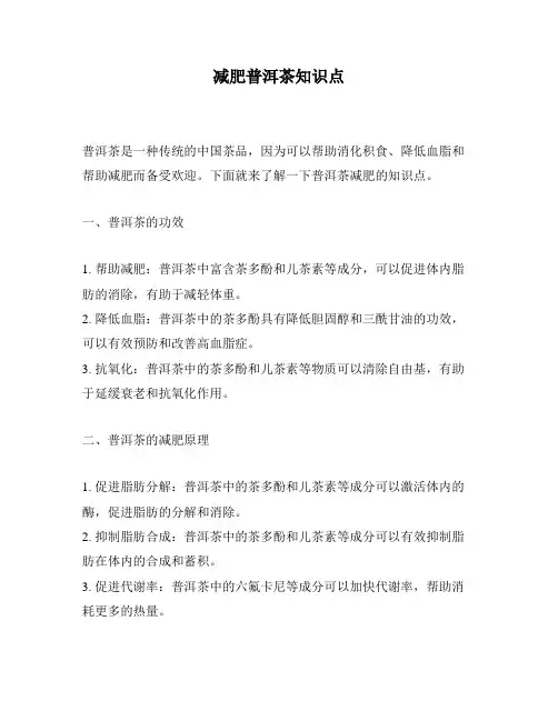减肥普洱茶知识点