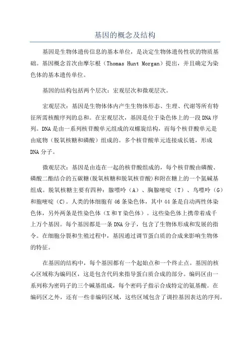 基因的概念及结构
