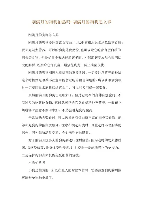 刚满月的狗狗怕热吗-刚满月的狗狗怎么养