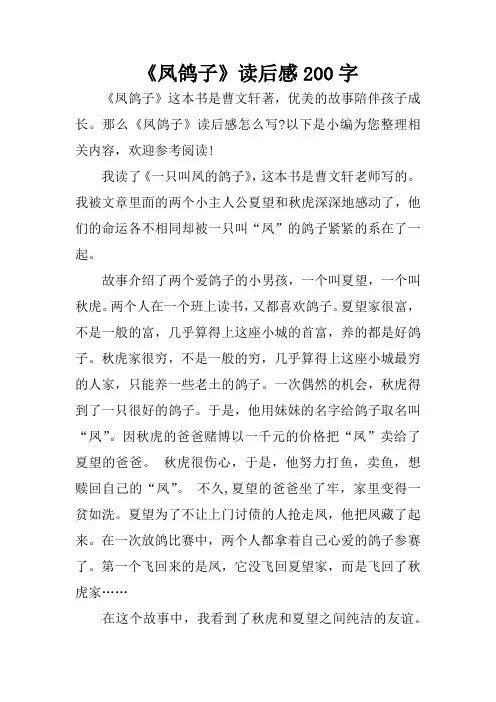 《凤鸽子》读后感200字