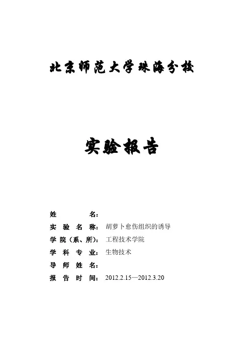 胡萝卜愈伤组织实验报告