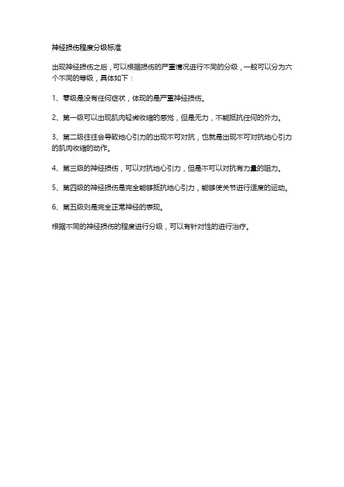 神经损伤程度分级标准
